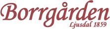 Borrgården Hostel logo